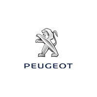Peugeot Motorbike Repairs Peugeot Motorbike Repairs